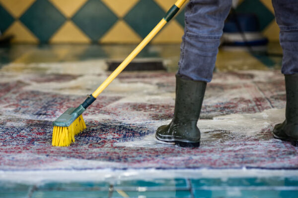 carpet-cleaning-services-victoria-restoration-experts